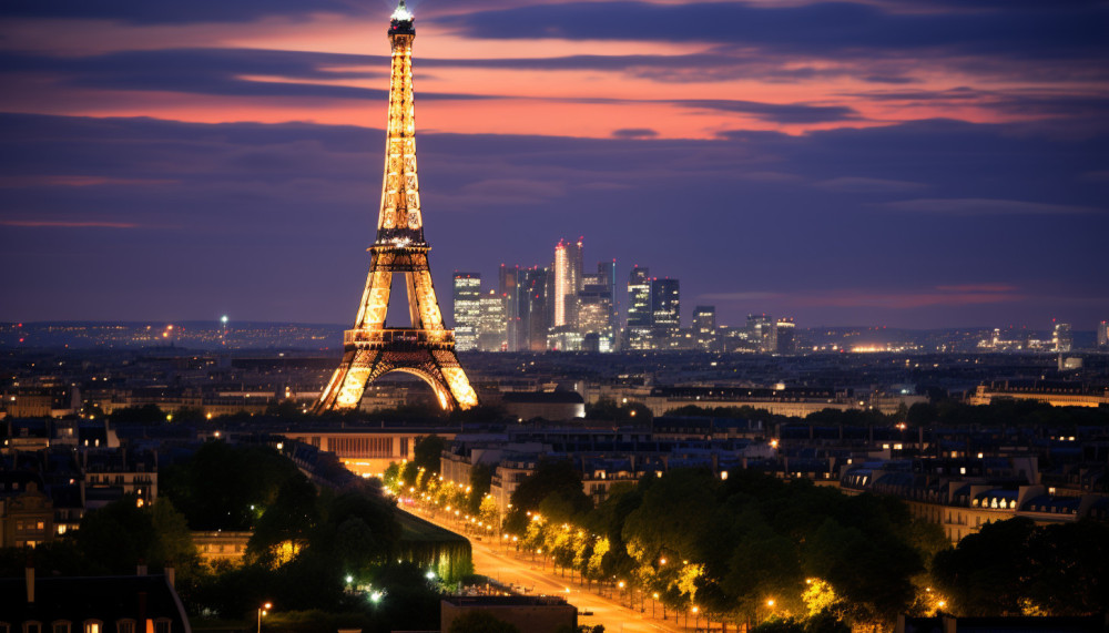 Autre - L'avenir des chatbots et de l'IA en France
